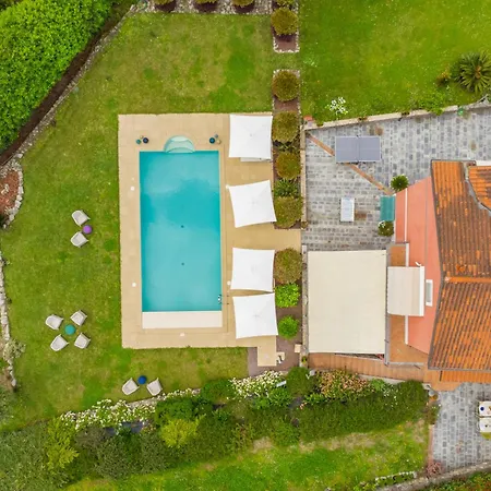 La Collina Degli Ulivi Pensjonat